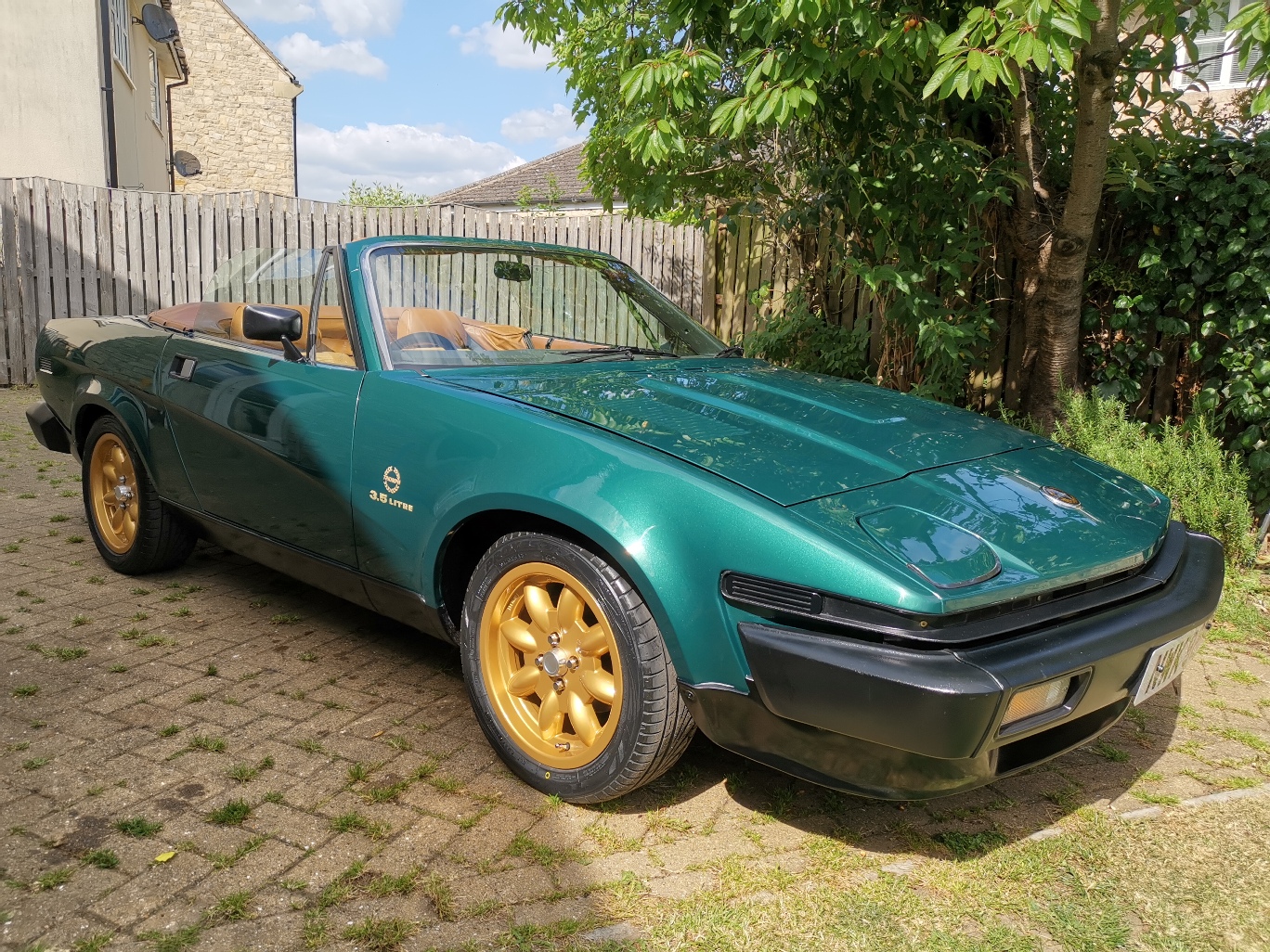 Minilite Gold TR8